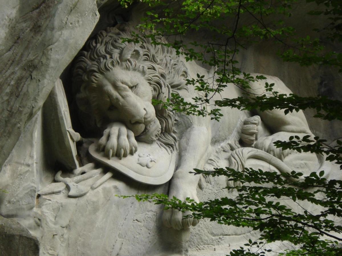 Lion Albergue Lucerna