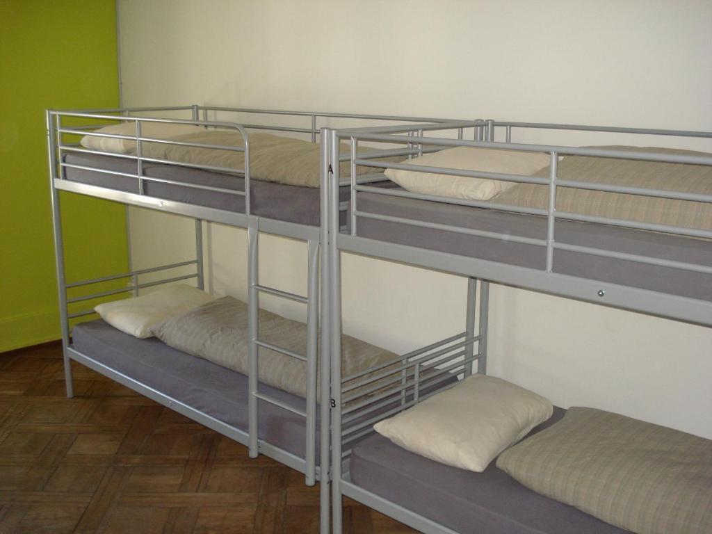 Lion Albergue Lucerna