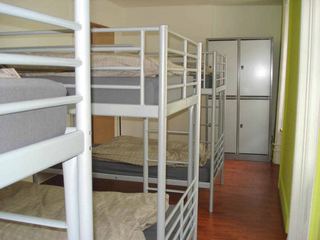 Lion Albergue